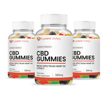 Load image into Gallery viewer, CBD Gummies